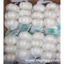 New Crop Fresh Chinese Pure White Garlic